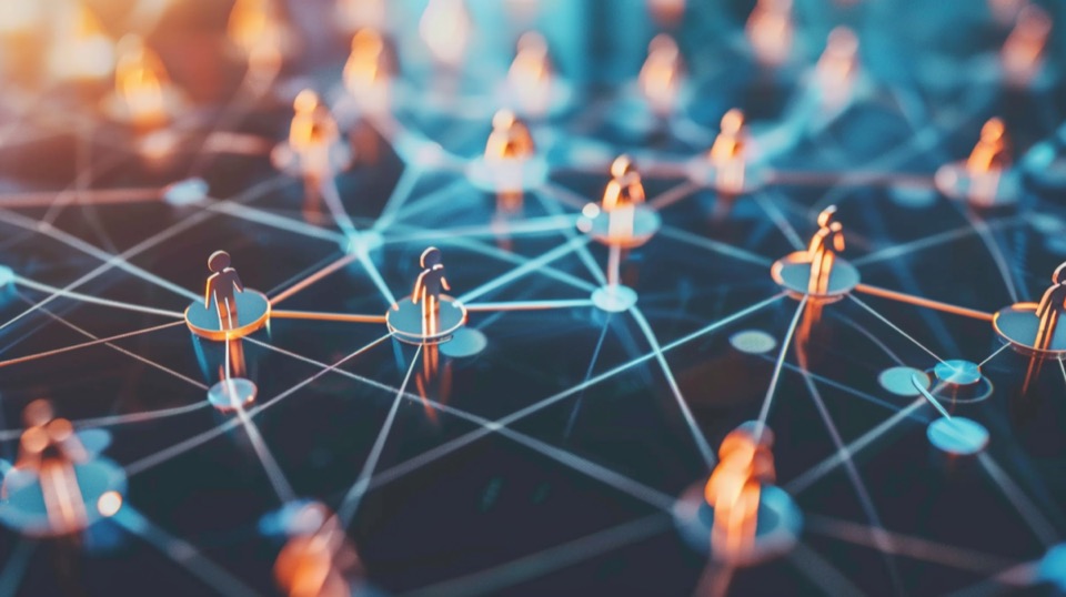 seo multiple domains